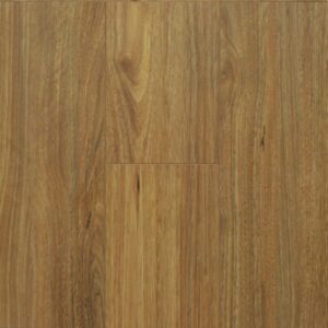 NSW SPOTTED GUM