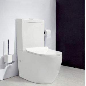 BACK TO WALL TOILET SUITES